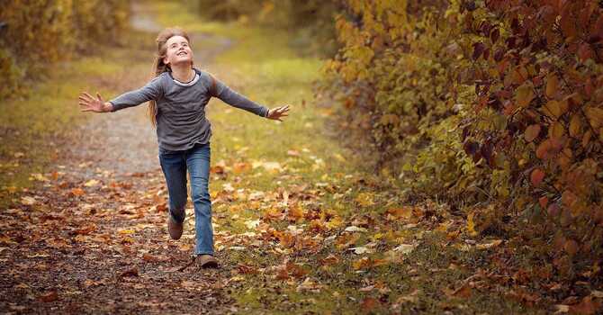The Importance of Spinal Health for Overall Wellness