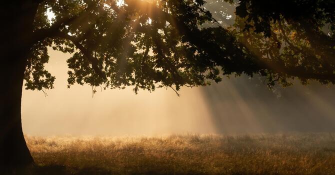 Ice Or Heat, Which Is Better When You're Hurt?